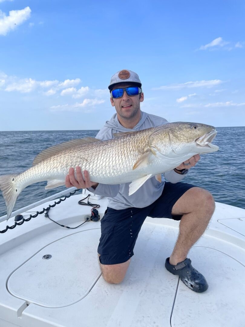 Summer cobia and bull redfish