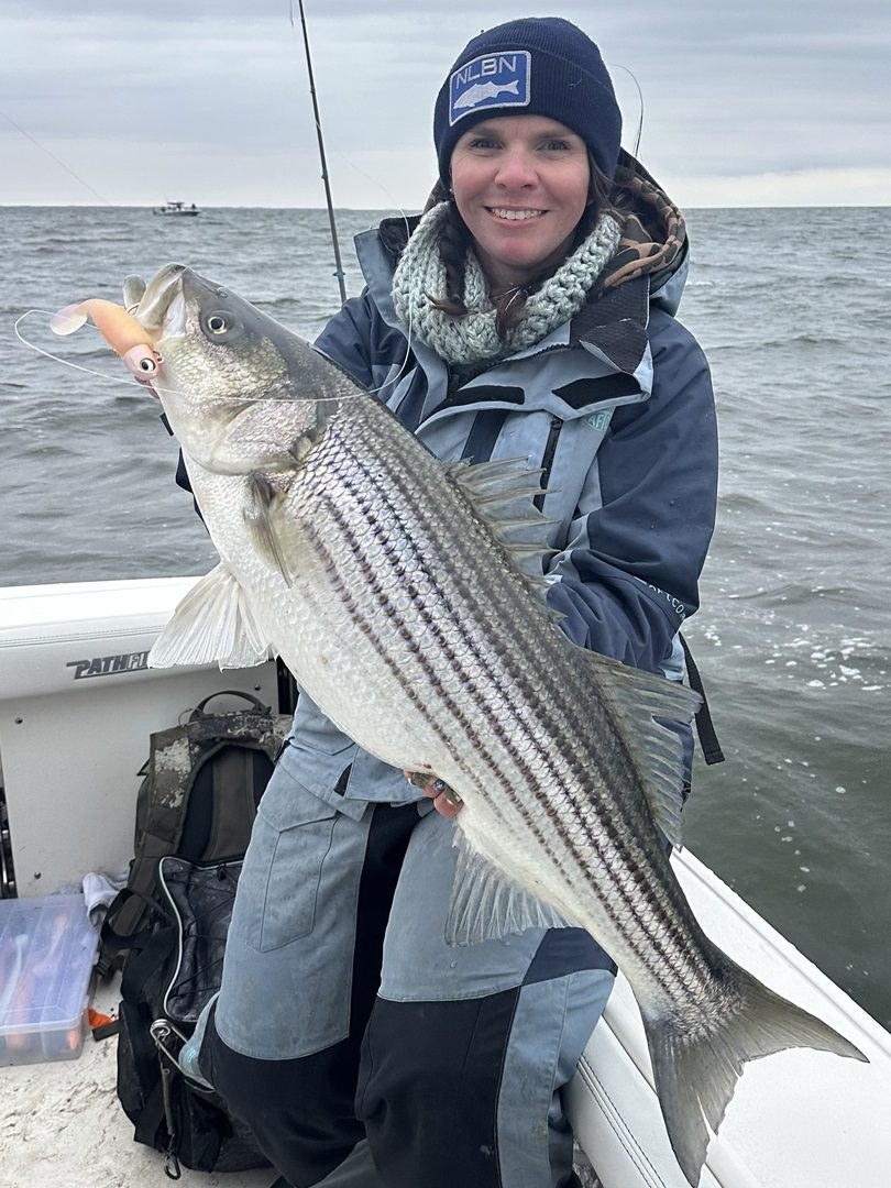 Angler holding a Chesapeake Bay striped bass