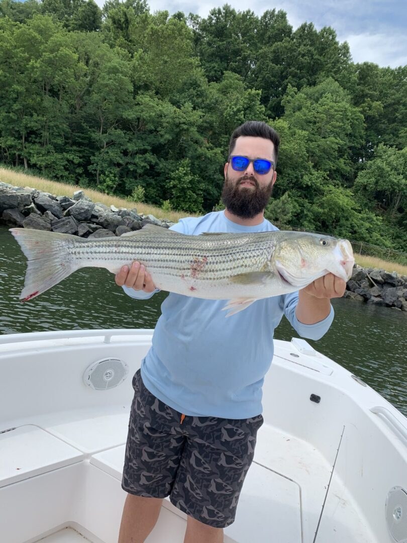 Striped bass on the fly