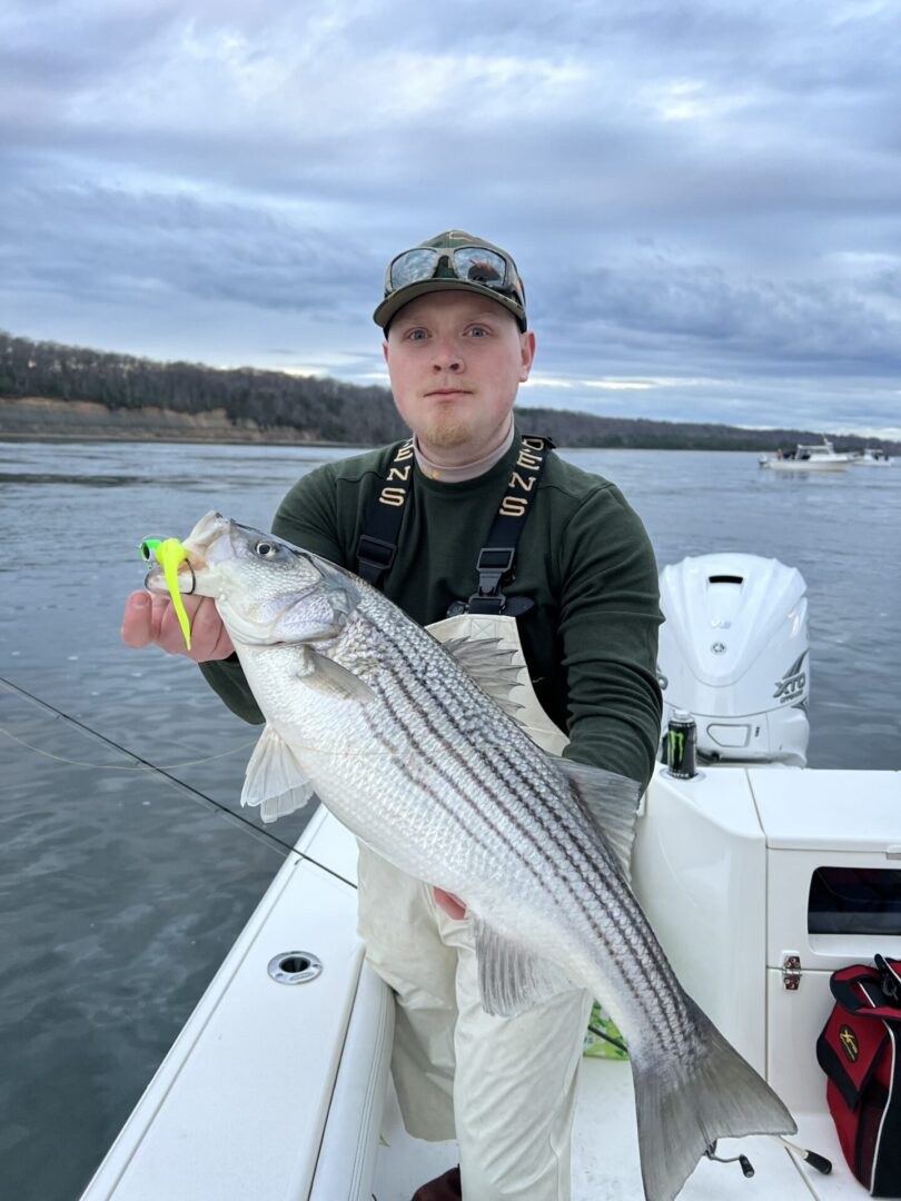 Winter trophy striped bass